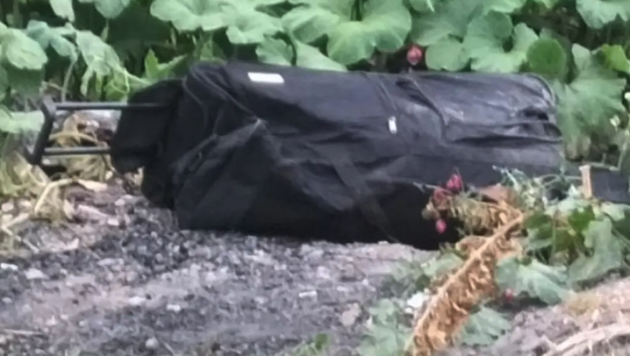 Captura de pantalla 2024-08-26 a la(s) 2.57.04 p. m.